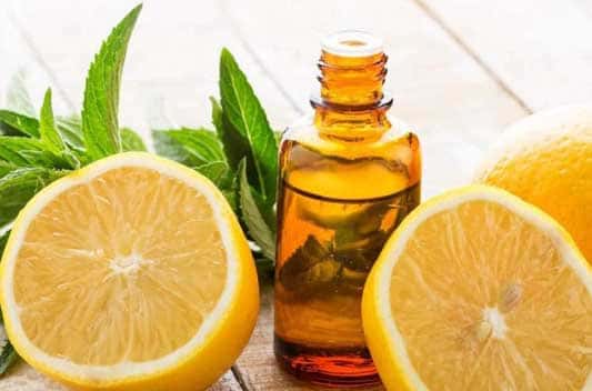 lemon oil extract supplier