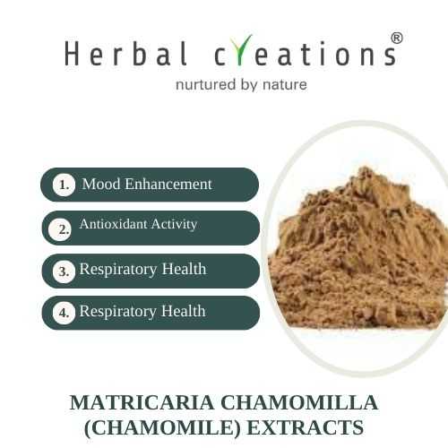 Premium Matricaria Chamomilla (Chamomile ) Extracts Supplier