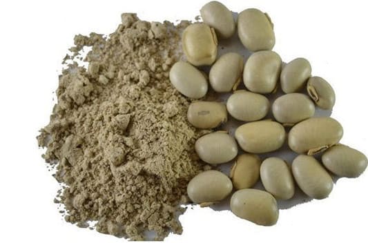 Mucuna extract supplier and manufacturers