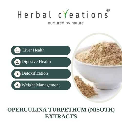 Operculina Turpethum Extracts Supplier & Manufacturer