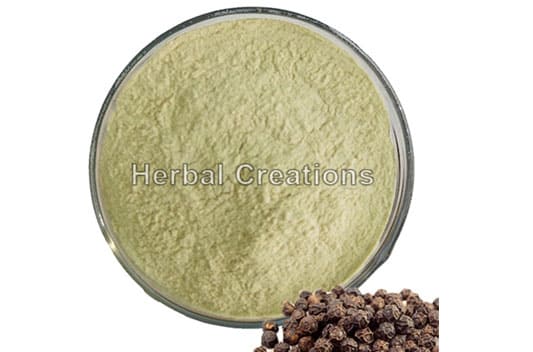 phytochemical extract supplier india
