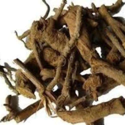 wholesaler of Inula Racemosa Extracts
