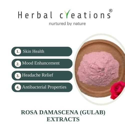 Rosa Damascena (Gulab) Extracts Supplier & Manufacturer