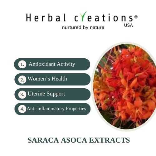 Saraca asoca extracts wholesaler