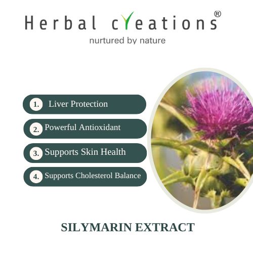 Silymarin Extracts Supplier