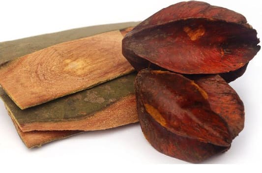 Terminalia arjuna extract supplier and manufacturers
