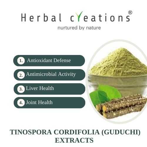 Tinospora cordifolia (Guduchi) Supplier & Manufacturer