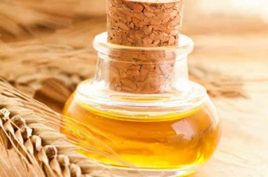 wheat germ oil extract supplier india