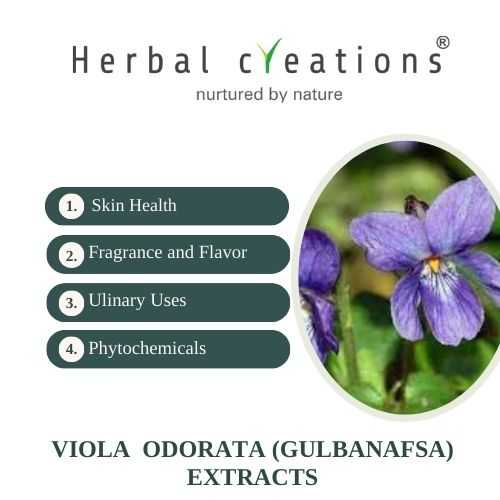 Herbal Creationsis a Viola odorata (gulbanafsa) Extracts Supplier or Manufacturer