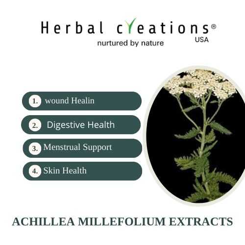 Achillea millefolium extracts exporter