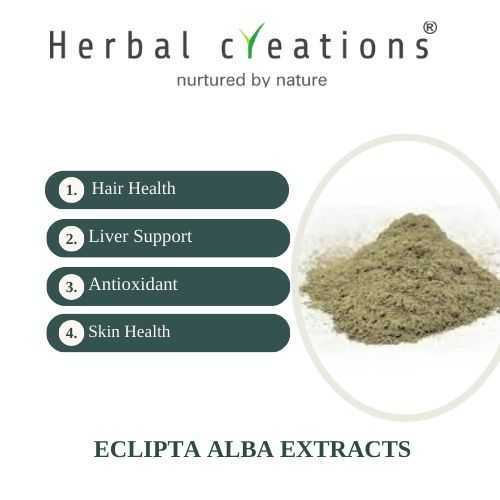 Eclipta Alba (Bhringraj) extracts supplier and manufacturer