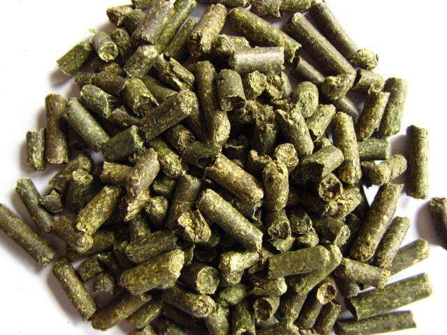 a pile of green pellets