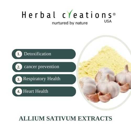 Allium Sativum extracts supplier