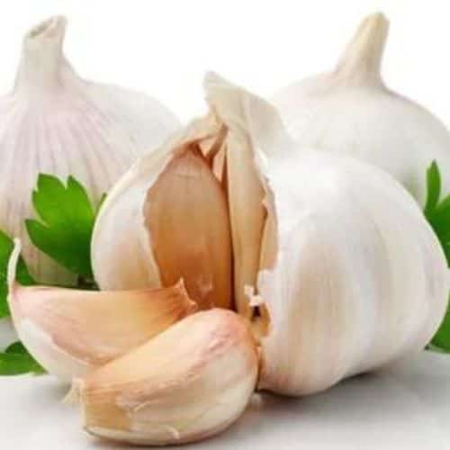 garlic extracts exporter