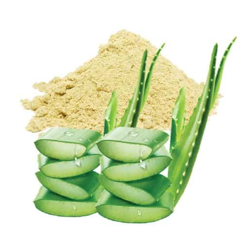 aloe extracts supplier