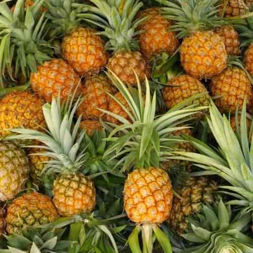 pineapple extracts wholesaler