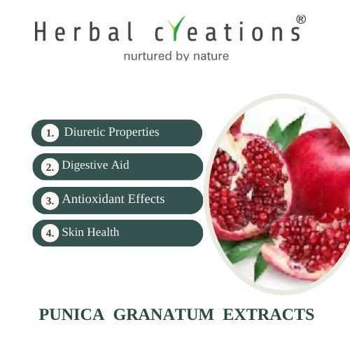 anar dana Extracts Supplier