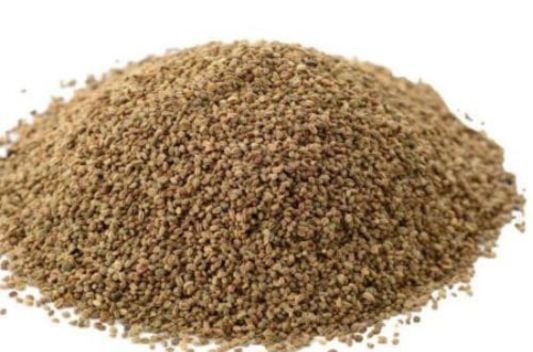 Apium graveolens extract supplier in india