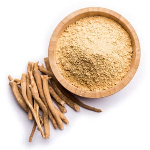 indian ginseng extracts supplier in thailand