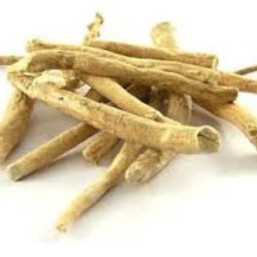 indian ginseng extracts wholesaler in thailand