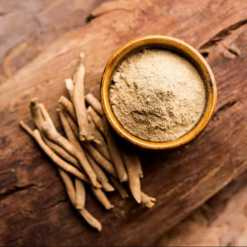 indian ginseng extracts Exporter in thailand