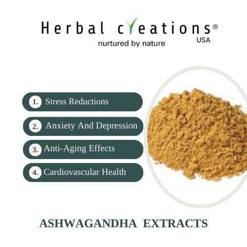 ashwagandha Extracts Supplier in USA