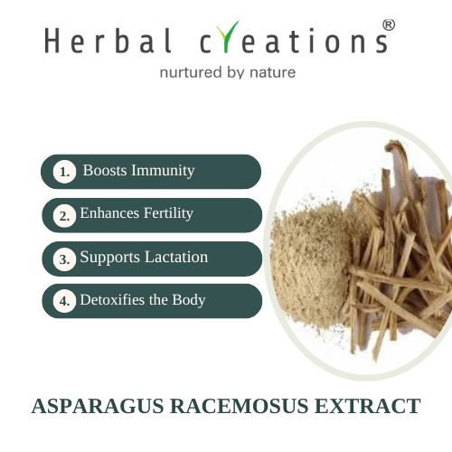 asparagus-racemosus-extract supplier in United Kingdom