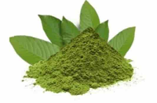 banaba extract supplier manufacturers