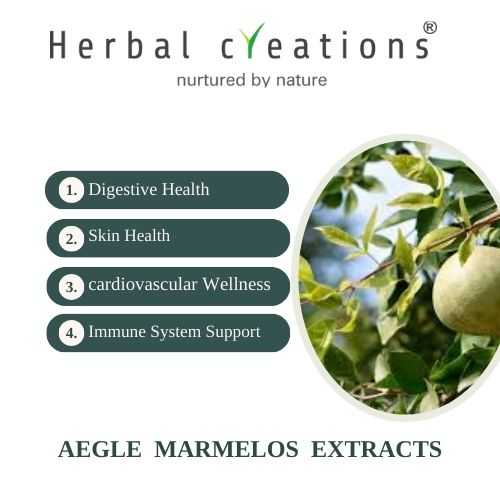 Nile Acacia extracts supplier and manufacturer