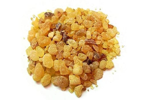 salai guggul Extract supplier india