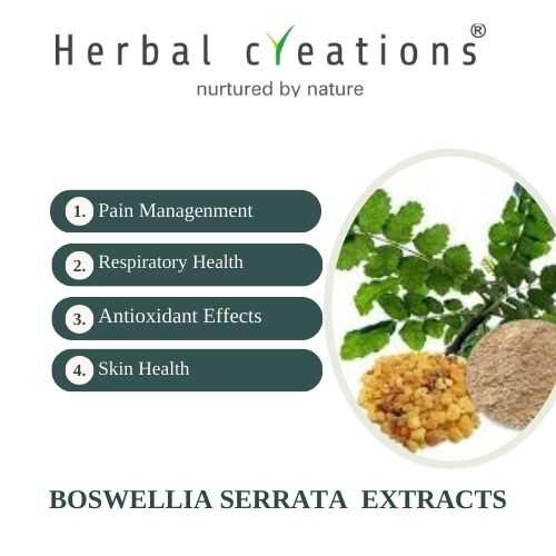 Boswellia Serrata extracts supplier in australia
