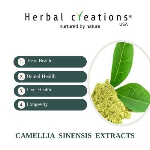 Camellia Sinensis extracts exporter