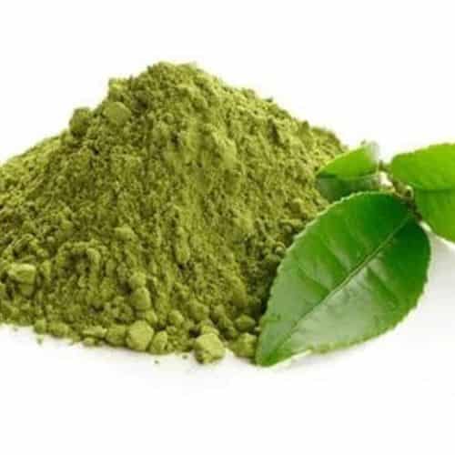green tea extracts wholesaler