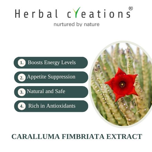Bromelain extracts supplier in United Kingdom
