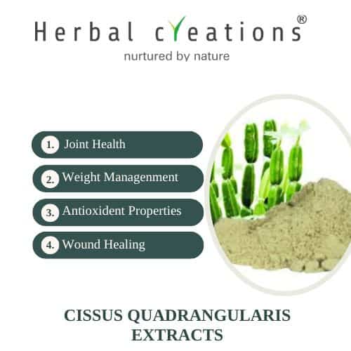 Cissus quadrangularis extracts supplier in australia