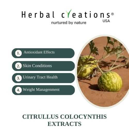 Citrullus Colocynthis extracts supplier