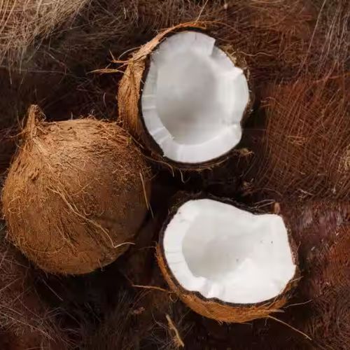 coconut Water powder supplier