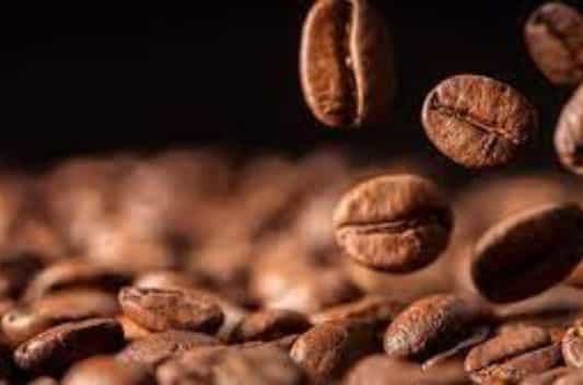 Coffee Bean extracts supplier in thailand