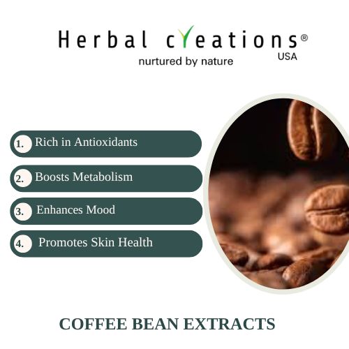 Coffee bean Extracts supplier
