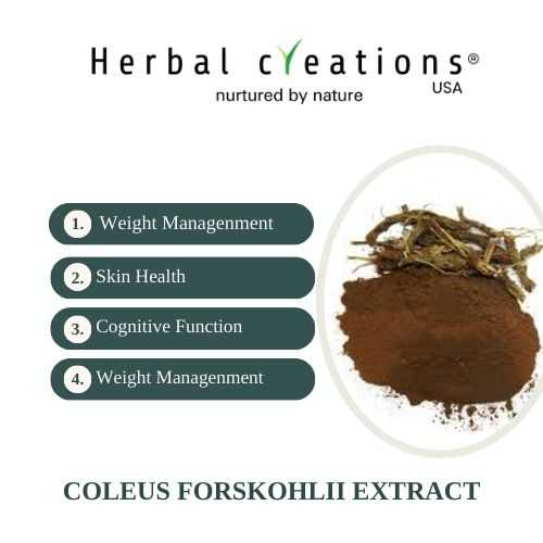 Coleus Forskohlii Extract supplier