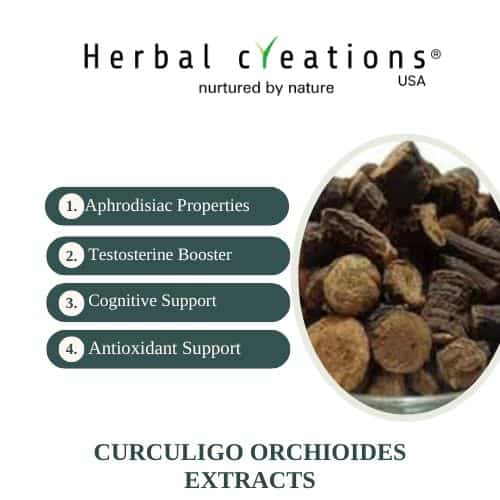 Curculigo orchioides extracts supplier