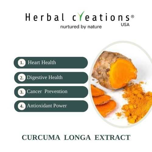 Curcuma Longa extracts supplier