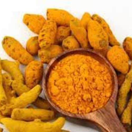 Turmeric Extract supplier in usa
