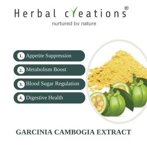 Garcinia Cambogia extracts supplier in australia