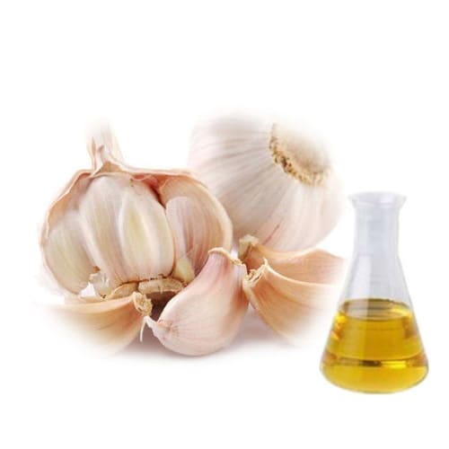 garlic extract supplier