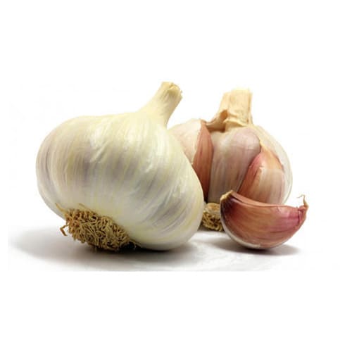 garlic extract manufacturers