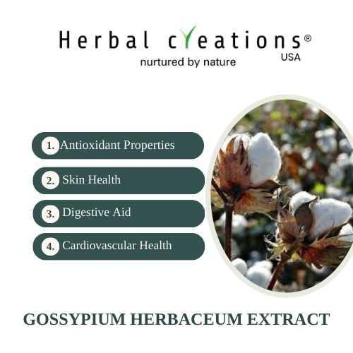 Gossypium Arboreum Extracts wholesaler in usa