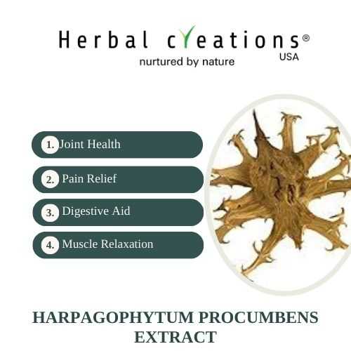 Harpagophytum procumbens extracts wholesaler