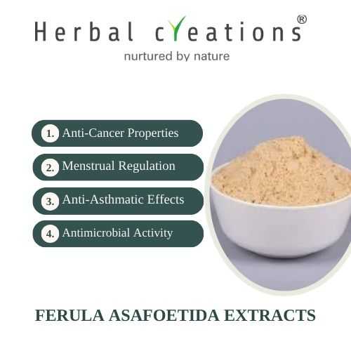 Ferula assafoetida (Hing) Extracts Supplier or Manufacturer | Herbal Creations