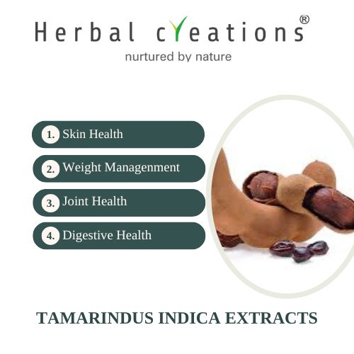 Tamarindus indica Extracts Supplier & Manufacturer
